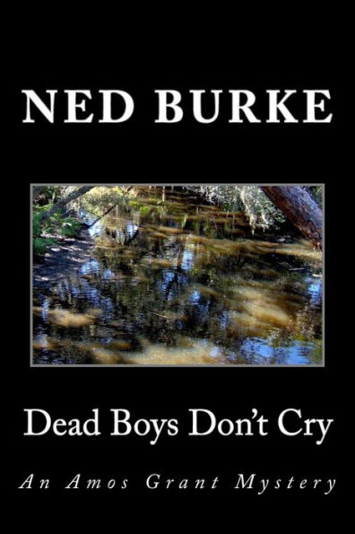 Dead Boys Don't Cry: An Amos Grant Mystery