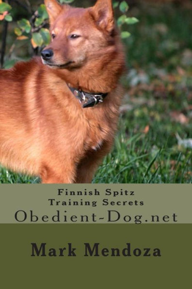 Finnish Spitz Training Secrets: Obedient-Dog.net