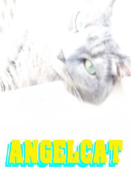 Title: Angel Cat: Anime Manga Comic Book Ghost Soul Angel Heaven War Battle Good vs Evil Teenager Cat, Author: James Sprouse Jr