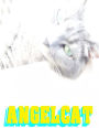 Angel Cat: Anime Manga Comic Book Ghost Soul Angel Heaven War Battle Good vs Evil Teenager Cat