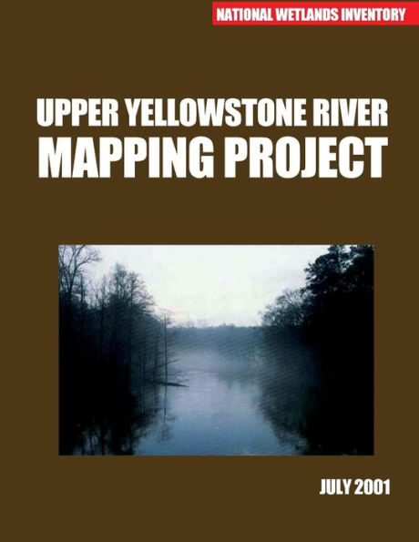 Upper Yellowstone River Mapping Project July 2001