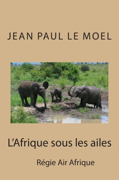 L'Afrique sous les ailes