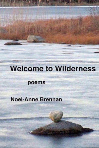 Welcome to Wilderness: poems