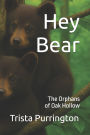 Hey Bear: The Orphans of Oak Hollow