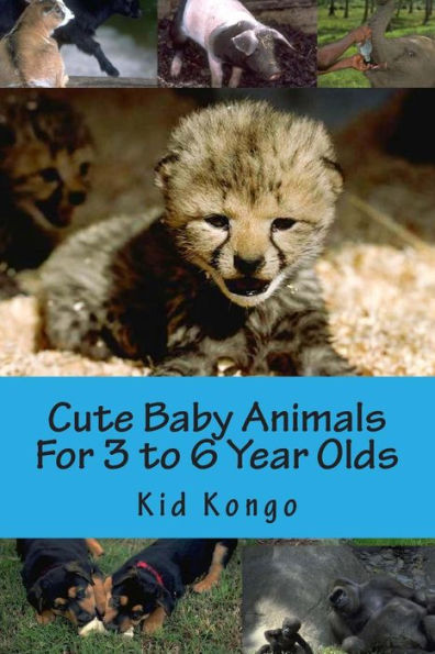 Cute Baby Animals For 3 to 6 Year Olds