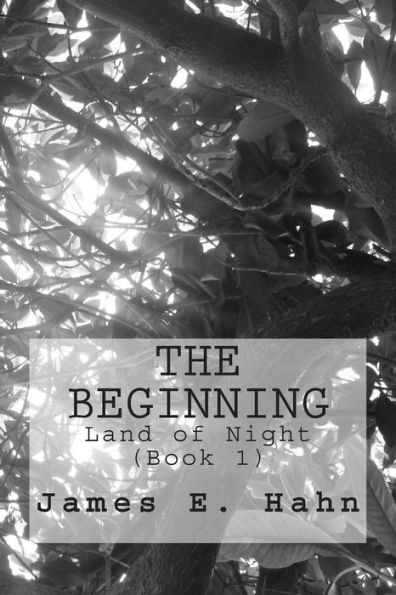 The Beginning