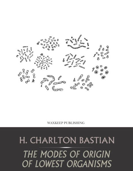 The Modes of Origin of Lowest Organisms