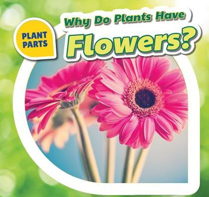 Why Do Plants Have Flowers?