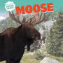 Moose