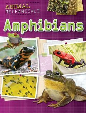 Amphibians