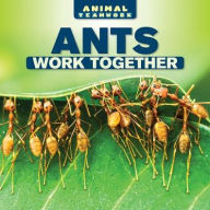 Title: Ants Work Together, Author: Nora Ellison