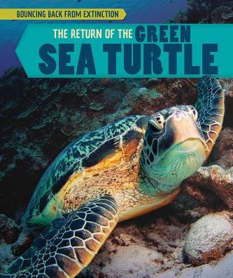 the Return of Green Sea Turtle
