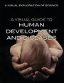 A Visual Guide to Human Development and Diseases