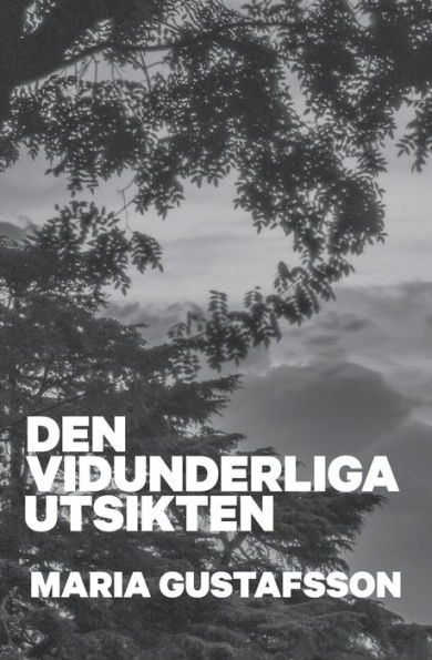 Den vidunderliga utsikten: Klara Andersson bok 1