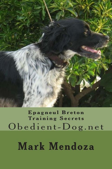 Epagneul Breton Training Secrets: Obedient-Dog.net