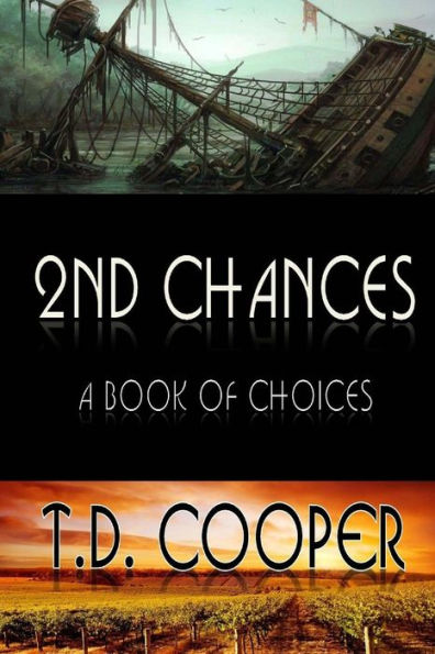 2nd Chances: A Book of Choices