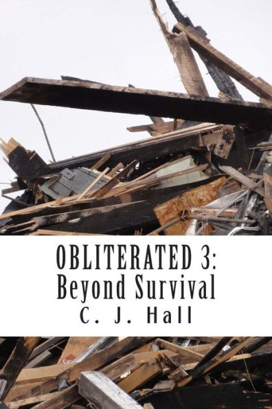 Obliterated 3: Beyond Survival