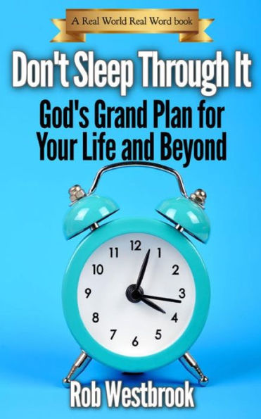 Don't Sleep Through It: God's Grand Plan for Your Life and Beyond