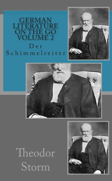 German literature on the go Volume 2: Der Schimmelreiter