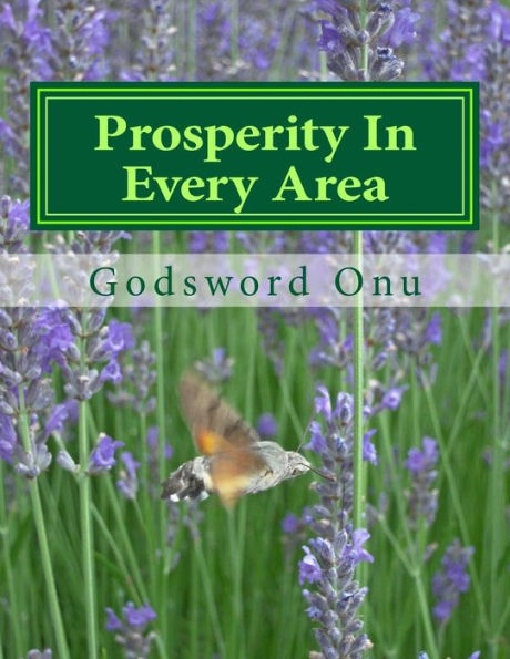 Prosperity In Every Area: Succeeding In All Areas