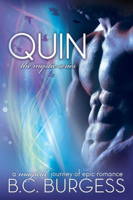 Quin By B.C. Burgess, Paperback | Barnes & Noble®