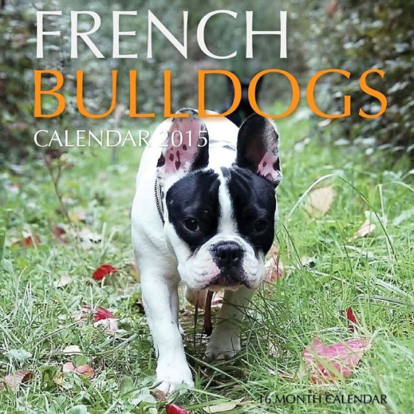 French Bulldogs Calendar 2015: 16 Month Calendar