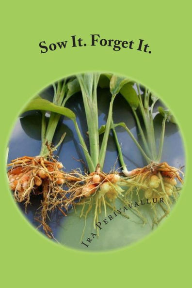 Sow It. Forget It.: A Layman's Guide to Planting: Curcuma longa (Volume 1)