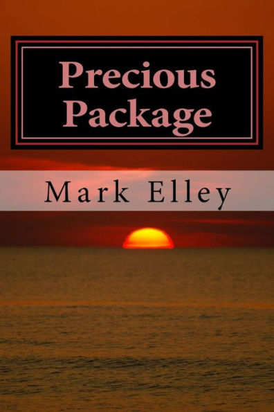 Precious Package: A John Doyle Mystery