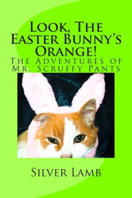 Title: Look, The Easter Bunny's Orange: The Adventures of Mr. Scruffy Pants, Author: Silver Lamb