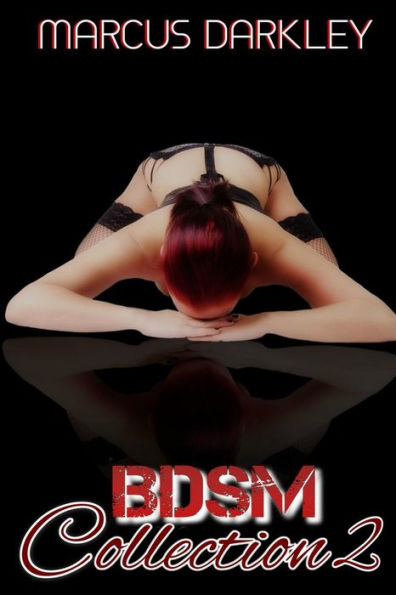 BDSM Collection 2