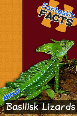 Fantastic Facts About Basilisk Lizards Illustrated Fun