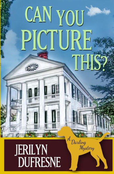 Can You Picture This?: a Sam Darling mystery