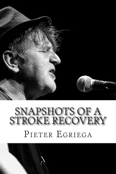 SnapShots of a Stroke Recovery: Stroke Association Creative Arts Award Winner 2014