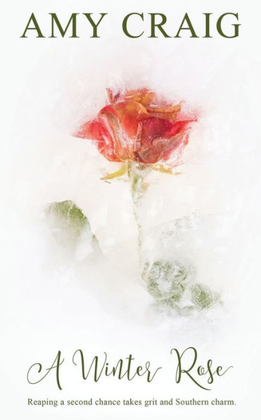 A Winter Rose