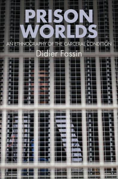 Prison Worlds: An Ethnography of the Carceral Condition / Edition 1