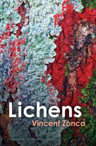 Title: Lichens: Toward a Minimal Resistance, Author: Vincent Zonca