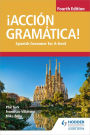 ¡Acción Gramática! Fourth Edition: Spanish Grammar for A Level