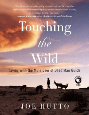 Touching The Wild Living With The Mule Deer Of Deadman