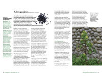 Alternative view 2 of Backyard Medicine For All: A Guide to Home-Grown Herbal Remedies