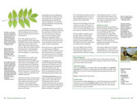 Alternative view 4 of Backyard Medicine For All: A Guide to Home-Grown Herbal Remedies