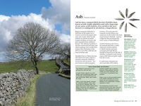 Alternative view 5 of Backyard Medicine For All: A Guide to Home-Grown Herbal Remedies