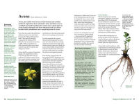 Alternative view 6 of Backyard Medicine For All: A Guide to Home-Grown Herbal Remedies