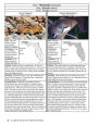 Alternative view 8 of Florida Wildlife Encyclopedia: An Illustrated Guide to Birds, Fish, Mammals, Reptiles, and Amphibians