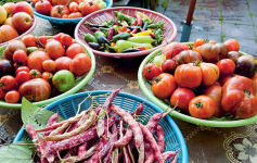 Alternative view 2 of Year-Round Gardening: Growing Vegetables and Herbs, Inside or Outside, in Every Season