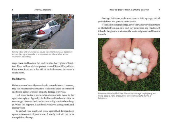 Survival Prepping: A Guide to Hunkering Down, Bugging Out, and Getting Out of Dodge