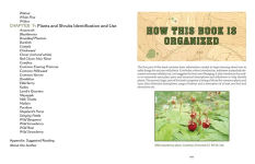 Alternative view 5 of The Prepper's Guide to Foraging: How Wild Plants Can Supplement a Sustainable Lifestyle, Revised and Updated, Second Edition