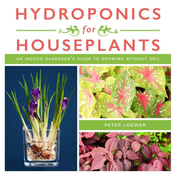 Hydroponics for Houseplants: An Indoor Gardener's Guide to Growing Without Soil