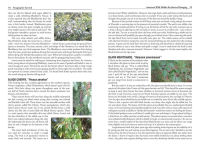 Alternative view 7 of Foraging for Survival: Edible Wild Plants of North America