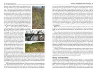 Alternative view 9 of Foraging for Survival: Edible Wild Plants of North America