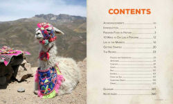 Alternative view 8 of The Big Peruvian Cookbook: 100 Delicious Traditional Recipes from Peru
